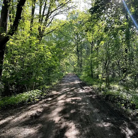 Semesterbostad Holiday Home Lunteren