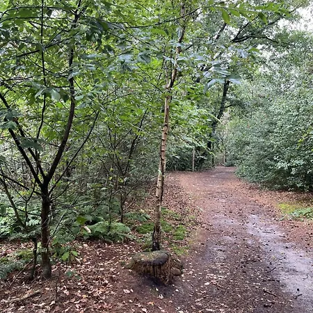 Holiday Home Lunteren Semesterbostad