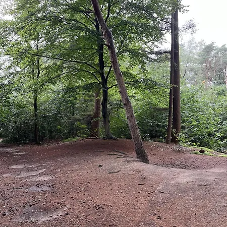 Semesterbostad Holiday Home Lunteren Lunteren