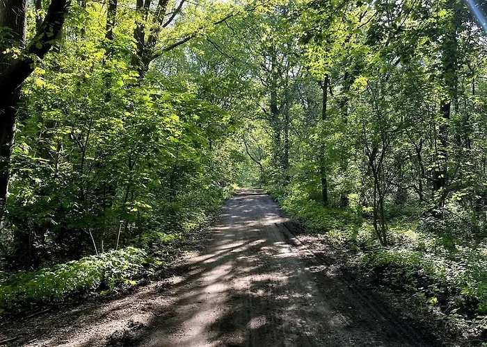 Semesterbostad Holiday Home Lunteren