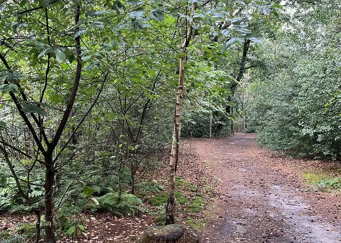 Holiday Home Lunteren Semesterbostad